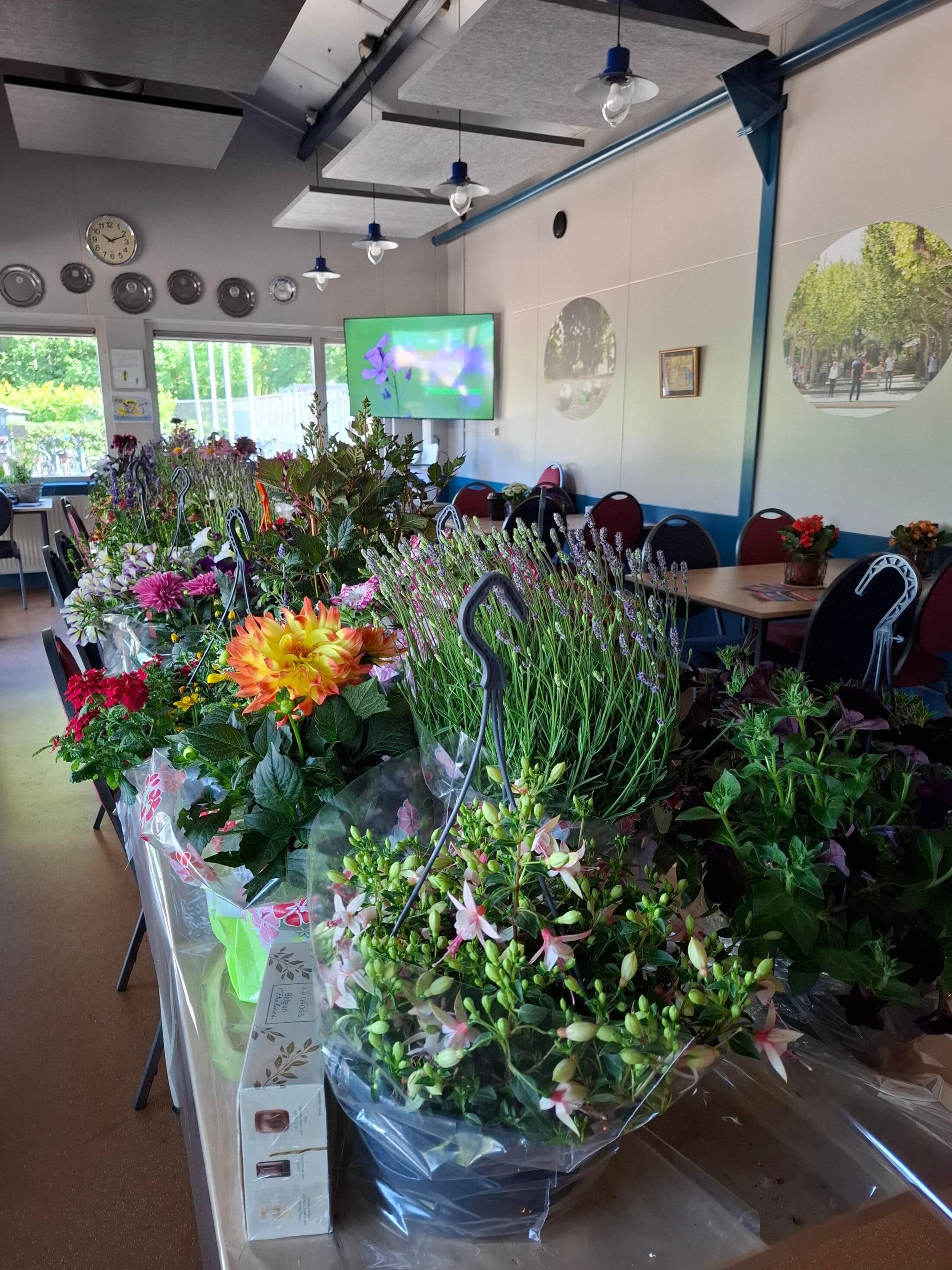 Erg warm weer tijdens Pinkstertoernooi 1 1000048199